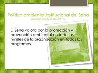 Servicios publico de empleo