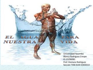 Universidad Yacambú
Blanca Rodriguez Crespo
CI.15296081
Prof. Xiomara Rodriguez
Sección THB-0144 ED03D1V
 