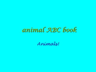 animal ABC book Animals! 