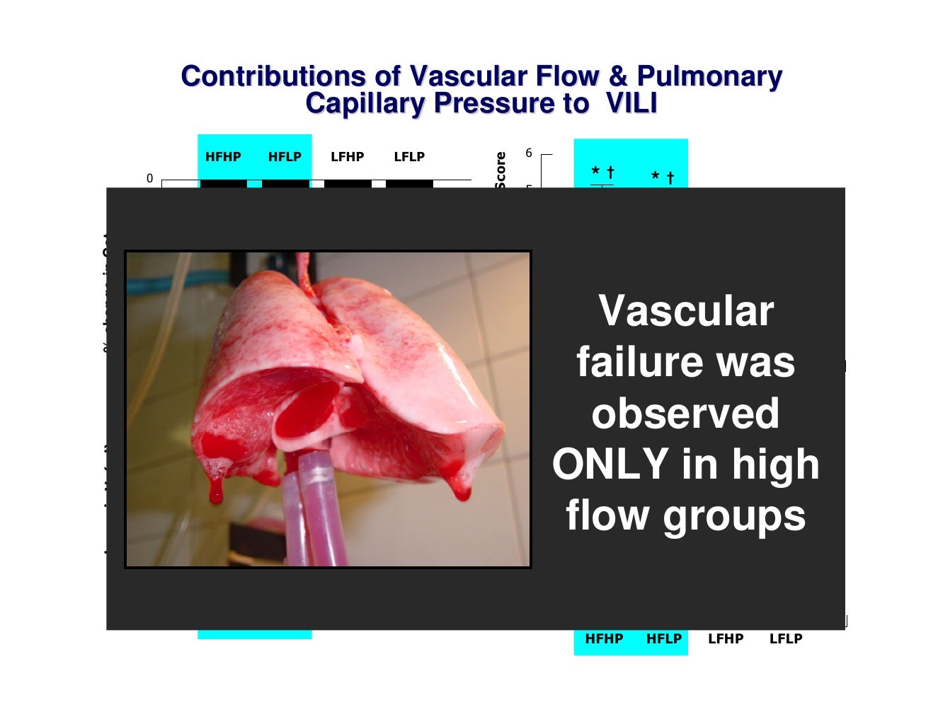 Ventilator Induced Lung Injury