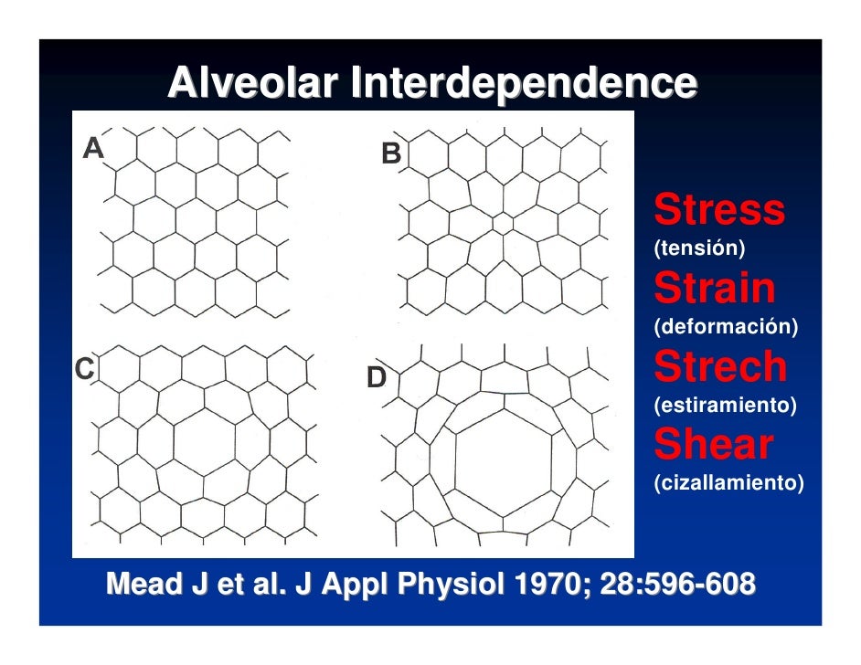 Ventilator Induced Lung Injury