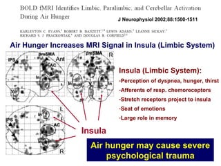 J Neurophysiol 2002;88:1500-1511 Insula (Limbic System): Perception of dyspnea, hunger, thirst Afferents of resp. chemoreceptors Stretch receptors project to insula Seat of emotions Large role in memory Air hunger may cause severe psychological trauma Air Hunger Increases MRI Signal in Insula (Limbic System) Insula 