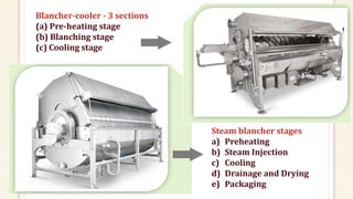 Blancher-cooler - 3 sections
(a) Pre-heating stage
(b) Blanching stage
(c) Cooling stage
Steam blancher stages
a) Preheating
b) Steam Injection
c) Cooling
d) Drainage and Drying
e) Packaging
 