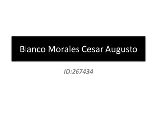 Blanco Morales Cesar Augusto

          ID:267434
 