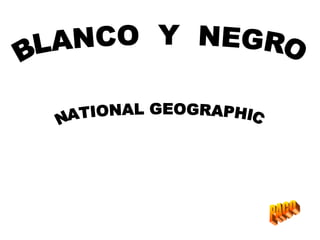 BLANCO  Y  NEGRO NATIONAL GEOGRAPHIC PACO 