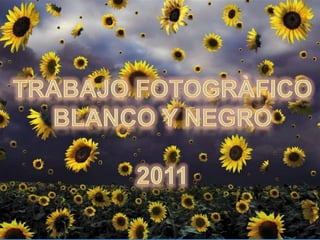 Blanco y Negro 2011