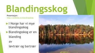 Blandingsskog 
Presentasjon: 
http://slidesha.re/blandingsskog 
 I Norge har vi mye 
blandingsskog 
 Blandingsskog er en 
blanding 
av 
løvtrær og bartrær 
 