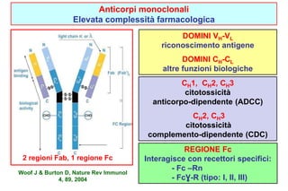 DOMINI VH-VL 
riconoscimento antigene 
DOMINI CH-CL 
altre funzioni biologiche 
CH1, CH2, CH3 
citotossicità 
anticorpo-dipendente (ADCC) 
CH2, CH3 
citotossicità 
complemento-dipendente (CDC) 
REGIONE Fc 
Interagisce con recettori specifici: 
- Fc –Rn 
- FcƔ-R (tipo: I, II, III) 
2 regioni Fab, 1 regione Fc 
Woof J & Burton D, Nature Rev Immunol 
4, 89, 2004 
Anticorpi monoclonali 
Elevata complessità farmacologica 
 