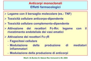 Anticorpi monoclonali 
Effetti farmacologici 
 Legame con il bersaglio molecolare (es.: TNF) 
 Tossicità cellulare anticorpo-dipendente 
 Tossicità cellulare complemento-dipendente 
 Attivazione dei recettori Fc-Rn: legame con il 
rivestimento endoteliale dei vasi ematici 
 Attivazione dei recettori Fc-gR 
- Fagocitosi cellulare 
- Modulazione della produzione di mediatori 
infiammatori 
- Modulazione della produzione di anticorpi 
Woof J & Burton D, Nature Rev Immunol 4, 89, 2004 
 