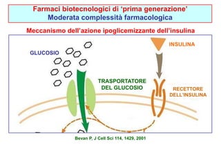 Farmaci biotecnologici di ‘prima generazione’ 
Moderata complessità farmacologica 
Meccanismo dell’azione ipoglicemizzante dell’insulina 
GLUCOSIO 
INSULINA 
TRASPORTATORE 
DEL GLUCOSIO RECETTORE 
DELL’INSULINA 
Bevan P, J Cell Sci 114, 1429, 2001 
 