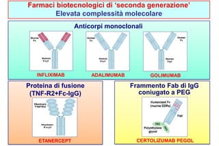 Farmaci biotecnologici di ‘seconda generazione’ 
Elevata complessità molecolare 
Anticorpi monoclonali 
INFLIXIMAB ADALIMUMAB GOLIMUMAB 
Proteina di fusione 
(TNF-R2+Fc-IgG) 
ETANERCEPT 
Frammento Fab di IgG 
coniugato a PEG 
CERTOLIZUMAB PEGOL 
 