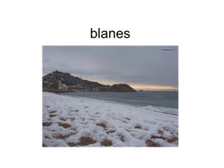 blanes 