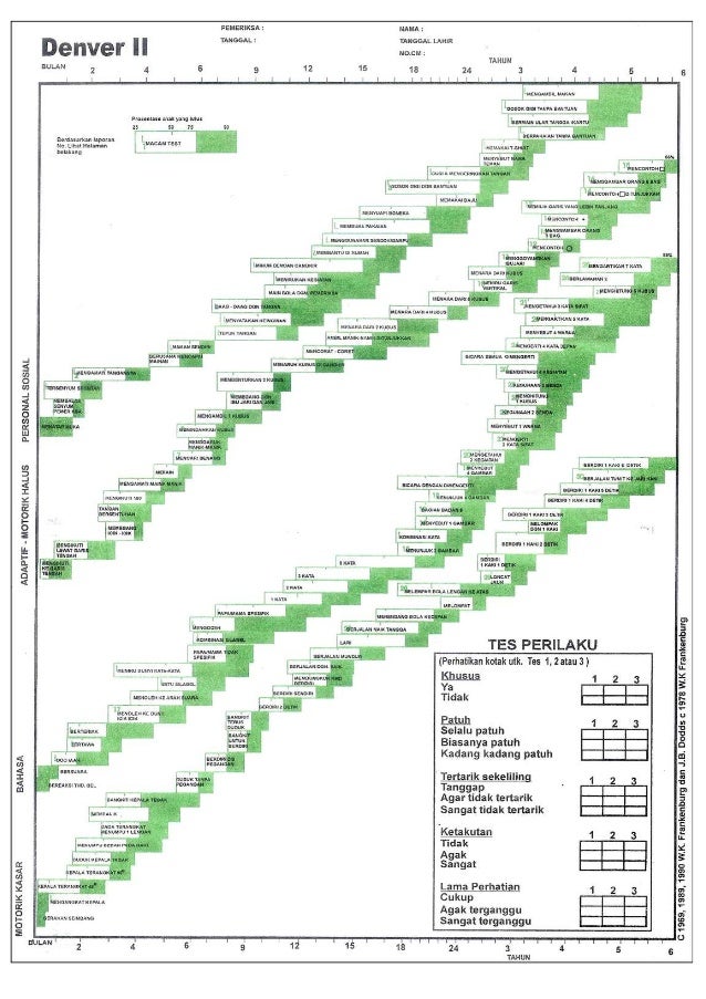ddst formulir untuk pediatri DDST Blangko