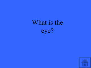What is the eye? 