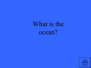 What is the ocean? 