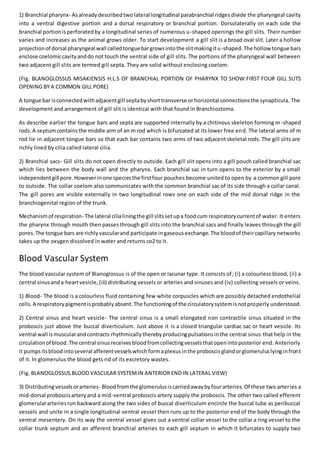 Blanoglossus (b.sc. ii)zoology | DOCX