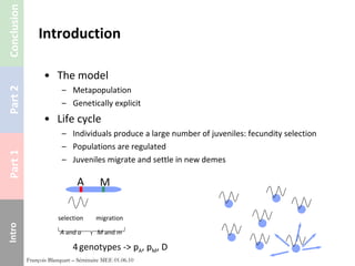 Introduction The model Metapopulation Genetically explicit Life cycle Individuals produce a large number of juveniles: fecundity selection Populations are regulated Juveniles migrate and settle in new demes François Blanquart – Séminaire MEE 01.06.10 A M selection A  and  a migration M  and  m 4   genotypes -> p A , p M , D 