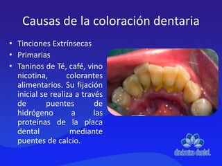 Causas de la coloración dentaria
• Tinciones Extrínsecas
• Primarias
• Taninos de Té, café, vino
nicotina, colorantes
alimentarios. Su fijación
inicial se realiza a través
de puentes de
hidrógeno a las
proteínas de la placa
dental mediante
puentes de calcio.
 