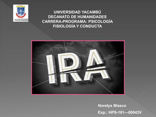 Norelys Blasco
Exp.: HPS-161—00043V
UNIVERSIDAD YACAMBÚ
DECANATO DE HUMANIDADES
CARRERA-PROGRAMA: PSICOLOGÍA
FISIOLOGÍA Y CONDUCTA
 