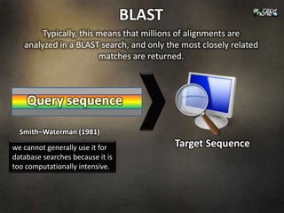BLAST
        Typically, this means that millions of alignments are
   analyzed in a BLAST search, and only the most closely related
                        matches are returned.



    Query sequence

  Smith–Waterman (1981)
we cannot generally use it for            Target Sequence
database searches because it is
too computationally intensive.
 