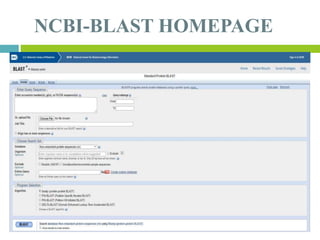 NCBI-BLAST HOMEPAGE
 