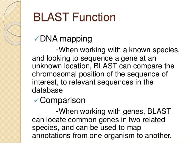 codoncode aligner blast search not opening codoncode aligner blast search not opening