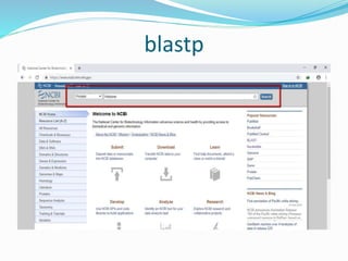 blastp
 