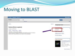Moving to BLAST
 