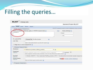 Filling the queries…
 