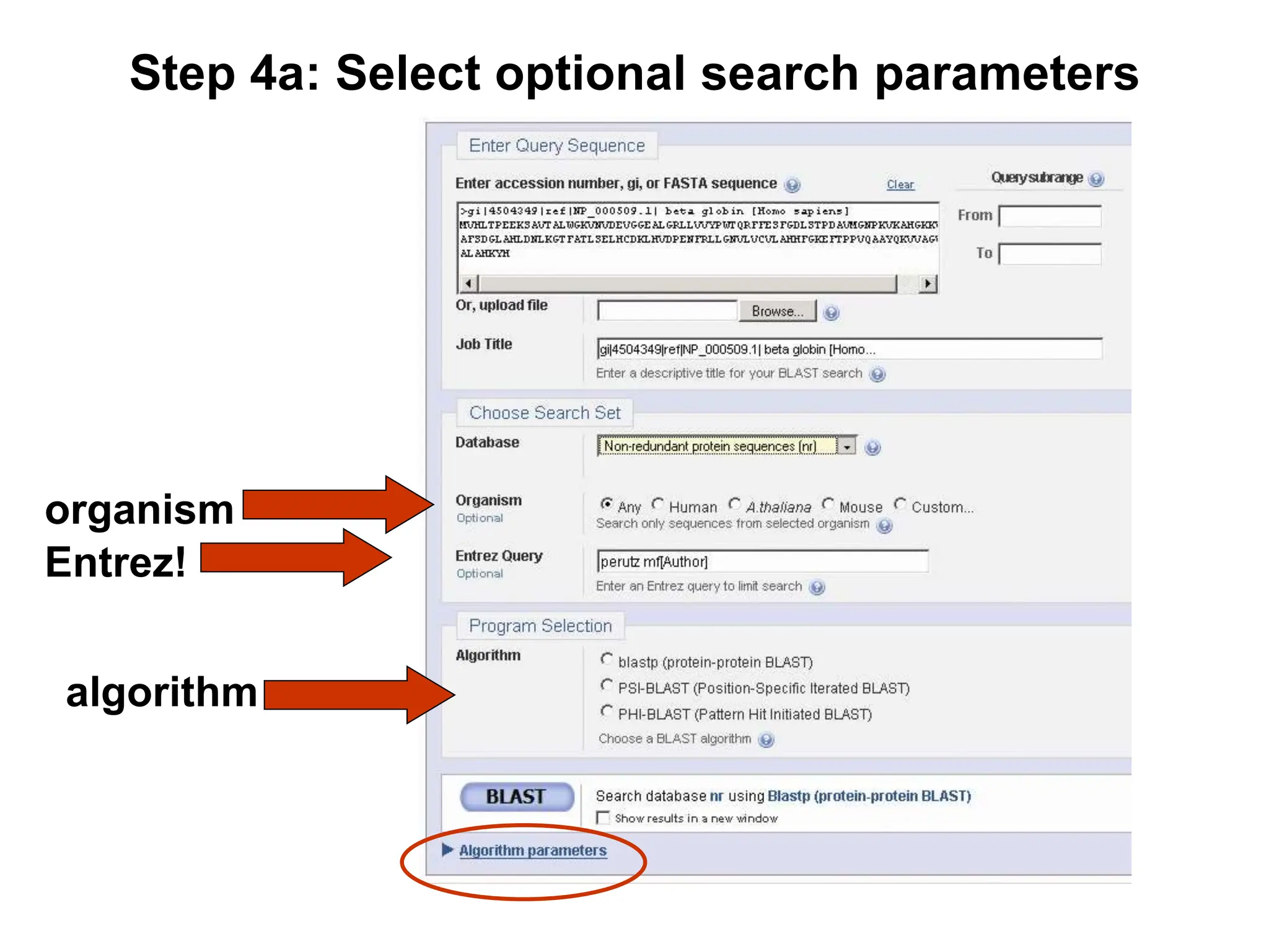 Step 4a: Select optional search parameters
Entrez!
algorithm
organism
 