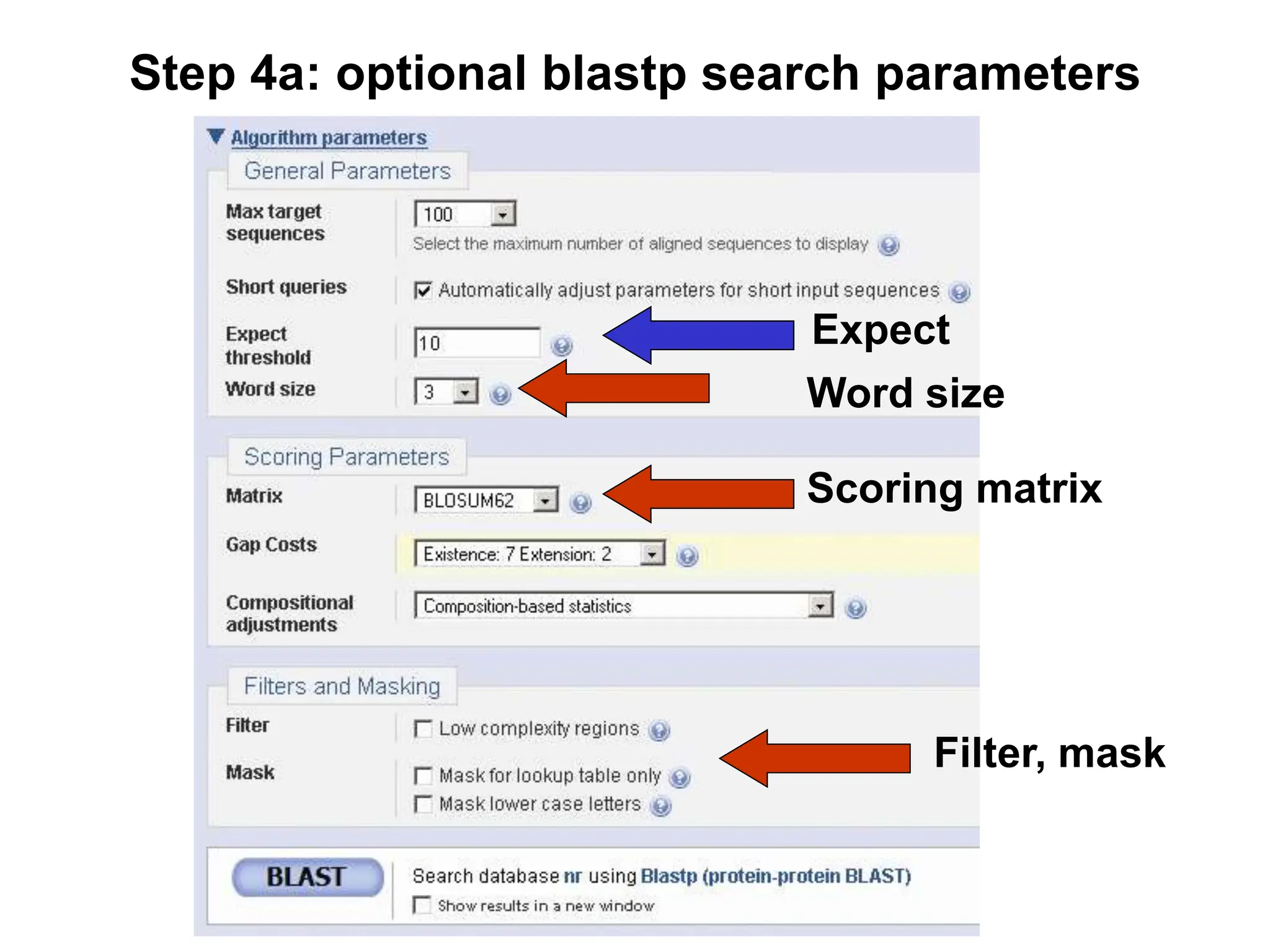 Step 4a: optional blastp search parameters
Filter, mask
Scoring matrix
Word size
Expect
 