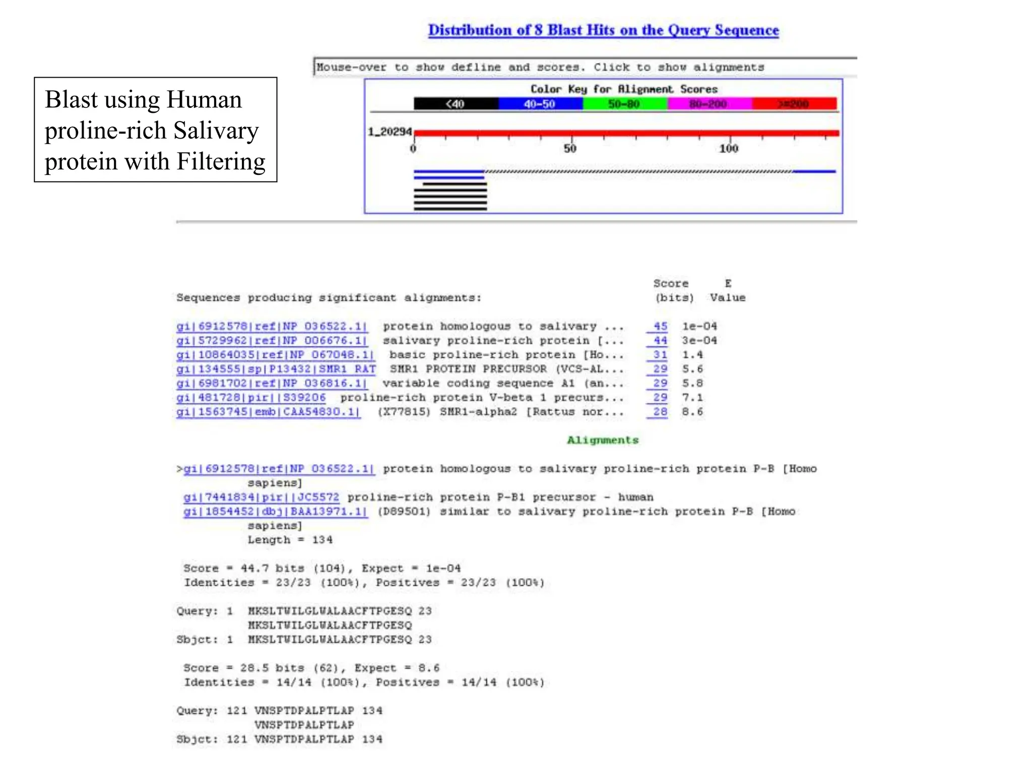 Blast using Human
proline-rich Salivary
protein with Filtering
 