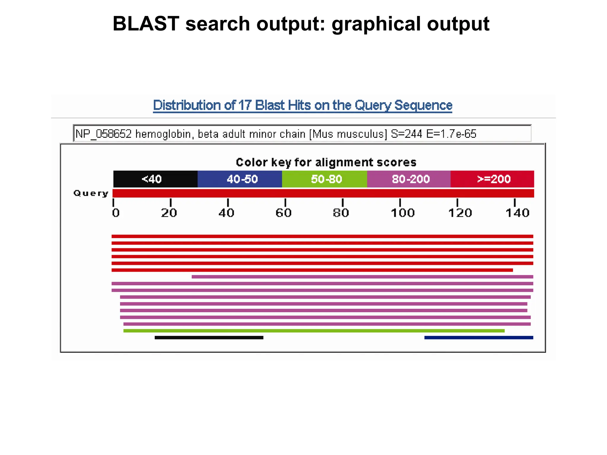 BLAST search output: graphical output
 