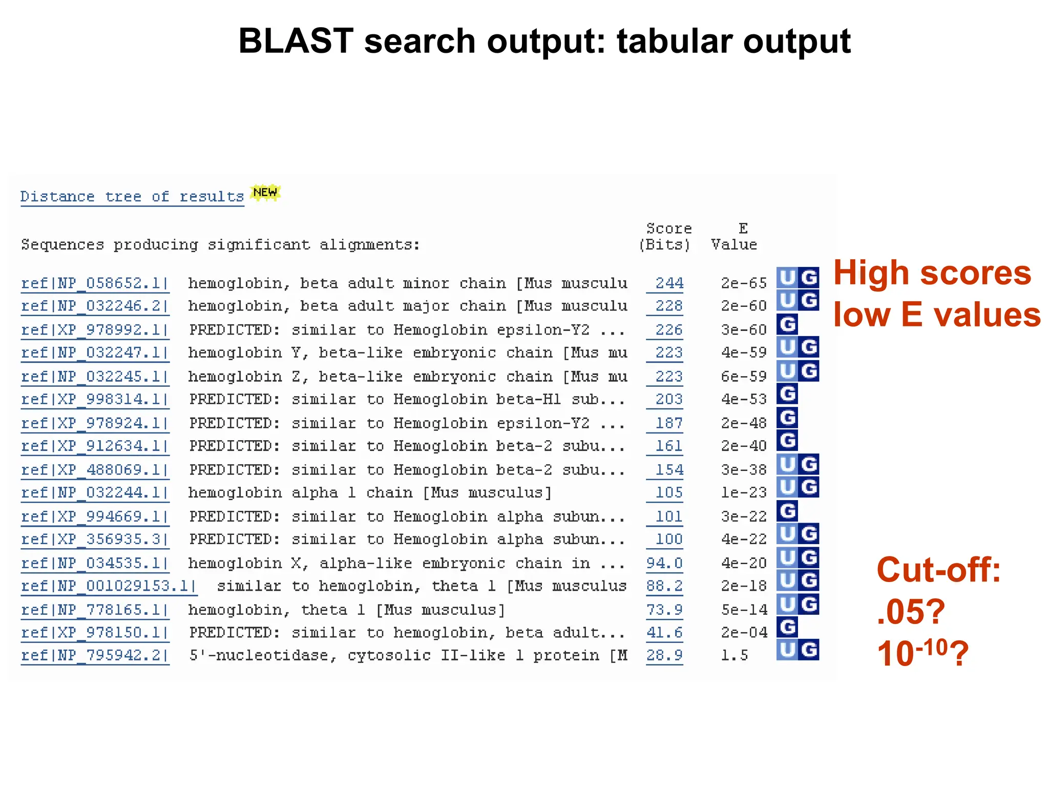 BLAST search output: tabular output
High scores
low E values
Cut-off:
.05?
10-10?
 