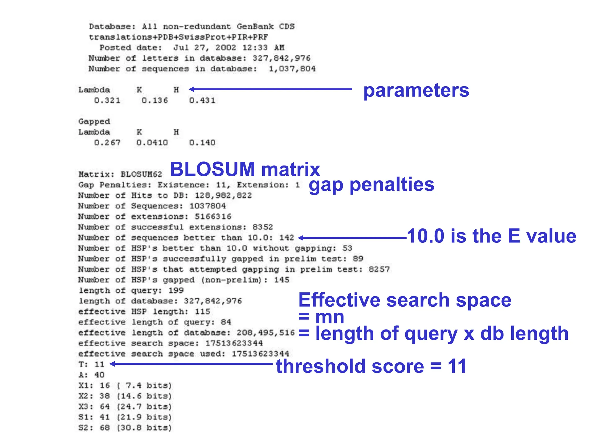 threshold score = 11
parameters
BLOSUM matrix
Effective search space
= mn
= length of query x db length
10.0 is the E value
gap penalties
 
