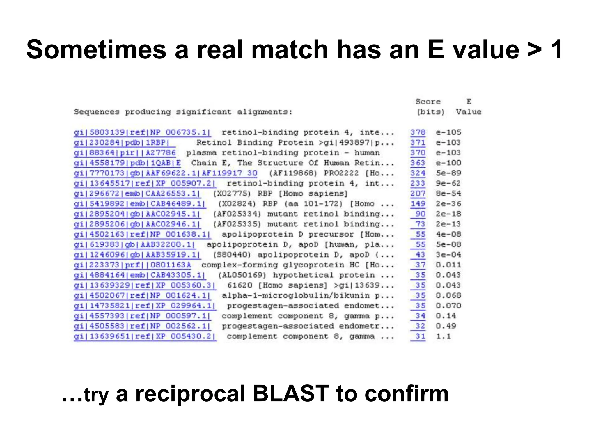 Sometimes a real match has an E value > 1
…try a reciprocal BLAST to confirm
 