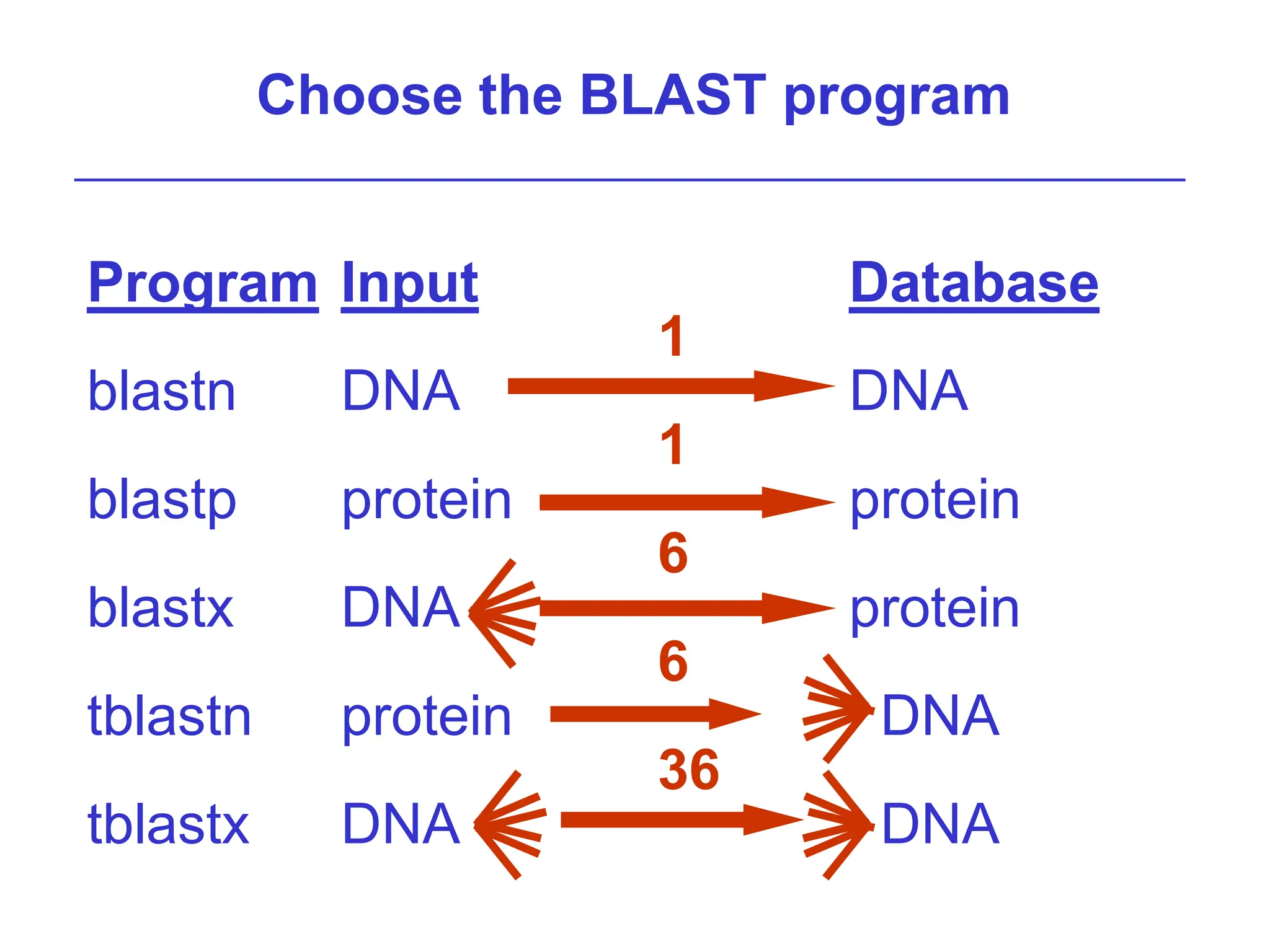 Choose the BLAST program
Program Input Database
1
blastn DNA DNA
1
blastp protein protein
6
blastx DNA protein
6
tblastn protein DNA
36
tblastx DNA DNA
 