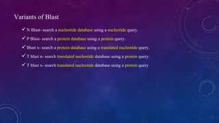 Variants of Blast 
 N Blast- search a nucleotide database using a nucleotide query. 
 P Blast- search a protein database using a protein query. 
 Blast x- search a protein database using a translated nucleotide query. 
 T blast n- search translated nucleotide database using a protein query. 
 T blast x- search translated nucleotide database using a protein query 
 