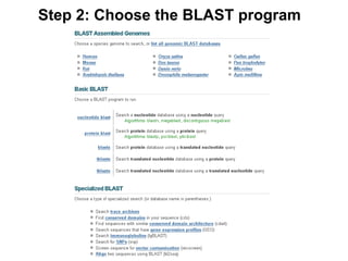 Step 2: Choose the BLAST program
 