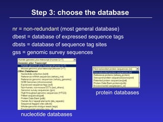 Step 3: choose the database
nr = non-redundant (most general database)
dbest = database of expressed sequence tags
dbsts = database of sequence tag sites
gss = genomic survey sequences
protein databases
nucleotide databases
 