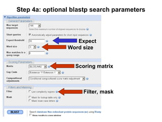 Step 4a: optional blastp search parameters
Filter, mask
Scoring matrix
Word size
Expect
 