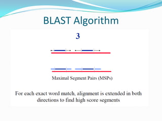 BLAST Algorithm
 