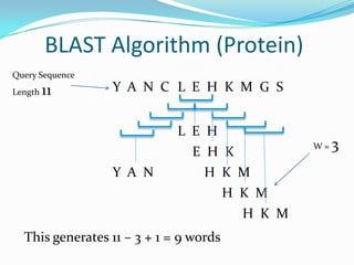 BLAST Algorithm (Protein)
L E H K M G S
Query Sequence
Length 11
L E H
E H K
H K M
This generates 11 – 3 + 1 = 9 words
H K M
H K M
Y A N C
Y A N
W = 3
 