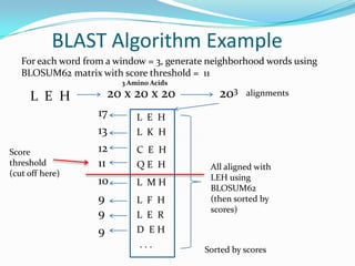BLAST Algorithm Example
L E H
For each word from a window = 3, generate neighborhood words using
BLOSUM62 matrix with score threshold = 11
L M H
D E H
L E H
C E H
L K H
Q E H
L F H
L E R
. . .
All aligned with
LEH using
BLOSUM62
(then sorted by
scores)
17
13
12
10
9
11
9
9
Score
threshold
(cut off here)
20320 x 20 x 20 alignments
Sorted by scores
3 Amino Acids
 