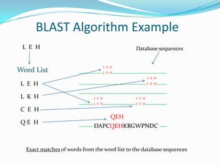 BLAST Algorithm Example
L E H
C E H
L K H
Q E H
Word List
DAPCQEHKRGWPNDC
L E H Database sequences
L E H
L E H
L E H
L E H
L K H
L K H
C E H
C E H
QEH
Exact matches of words from the word list to the database sequences
 