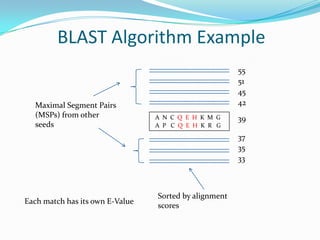 A P C Q E H K R G
A N C Q E H K M G 39
Maximal Segment Pairs
(MSPs) from other
seeds
Sorted by alignment
scores
42
45
35
37
51
55
33
BLAST Algorithm Example
Each match has its own E-Value
 