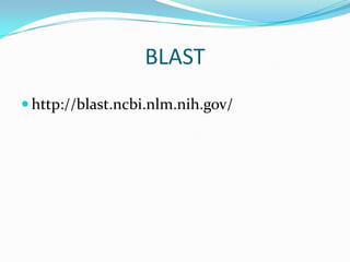 BLAST
 http://blast.ncbi.nlm.nih.gov/
 