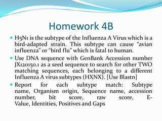 Homework 4B
 H5N1 is the subtype of the Influenza A Virus which is a
bird-adapted strain. This subtype can cause “avian
influenza” or “bird flu” which is fatal to human.
 Use DNA sequence with GenBank Accession number
JX120150.1 as a seed sequence to search for other TWO
matching sequences, each belonging to a different
Influenza A virus subtypes (HXNX). [Use Blastn]
 Report for each subtype match: Subtype
name, Organism origin, Sequence name, accession
number, bit score, raw score, E-
Value, Identities, Positives and Gaps
 
