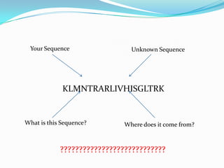 ????????????????????????????
Your Sequence Unknown Sequence
What is this Sequence? Where does it come from?
KLMNTRARLIVHISGLTRK
 