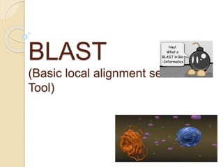 BLAST
(Basic local alignment search
Tool)
 